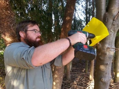 Installing a wasp bait station. 