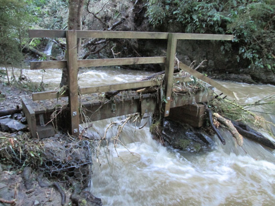 A damaged foot bridge on the Moanariri/Bull Creek track.