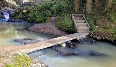 piroa-footbridge390.jpg