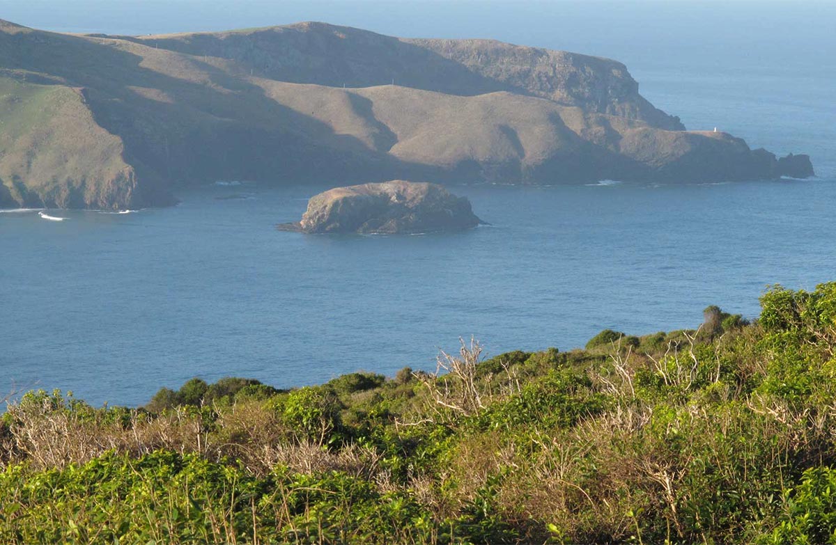 Sandymount Track: Otago peninsula area, Otago region