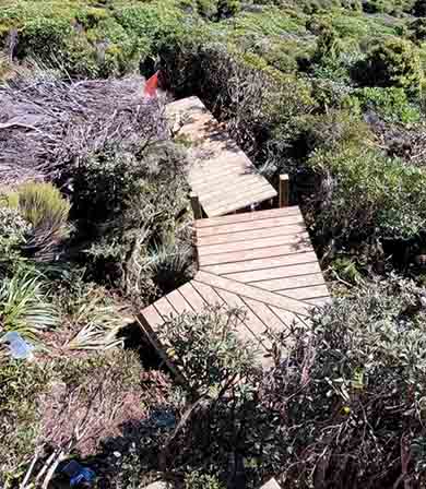 Boardwalk path heading downhill in scrubbing terrain.