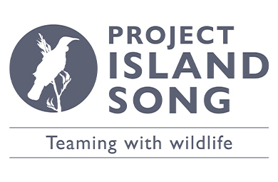 project-island-song-logo-390.jpg