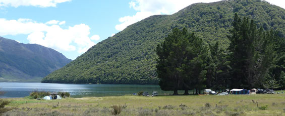 Lake Taylor Campsite: Lake Sumner Forest Park, Canterbury region