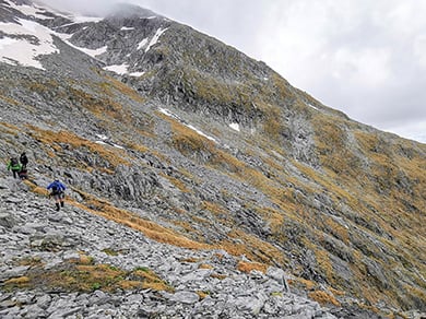 above-brewster-hut-alice-milne390.jpg