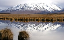 Ō Tū Wharekai Wetland: Places To Go In Canterbury