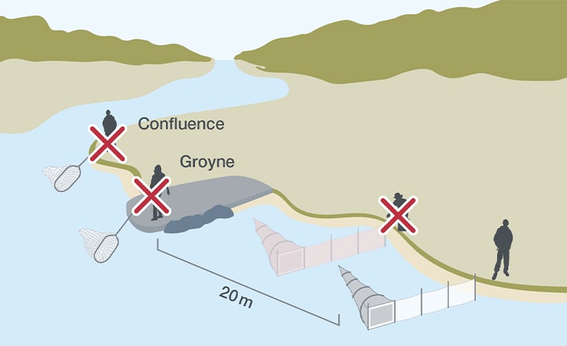 Diagram showing whitebaiters not to fish from confluences and groynes and to be more than 20 metres away from them.