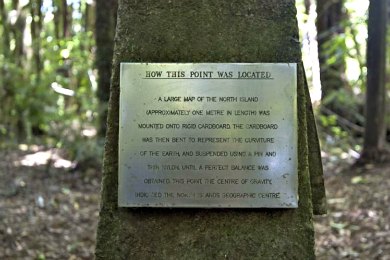 Centre of the North Island Walk: Things to do in Pureora Forest Park