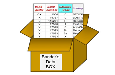 How To Submit Banding Data: Bird Banding