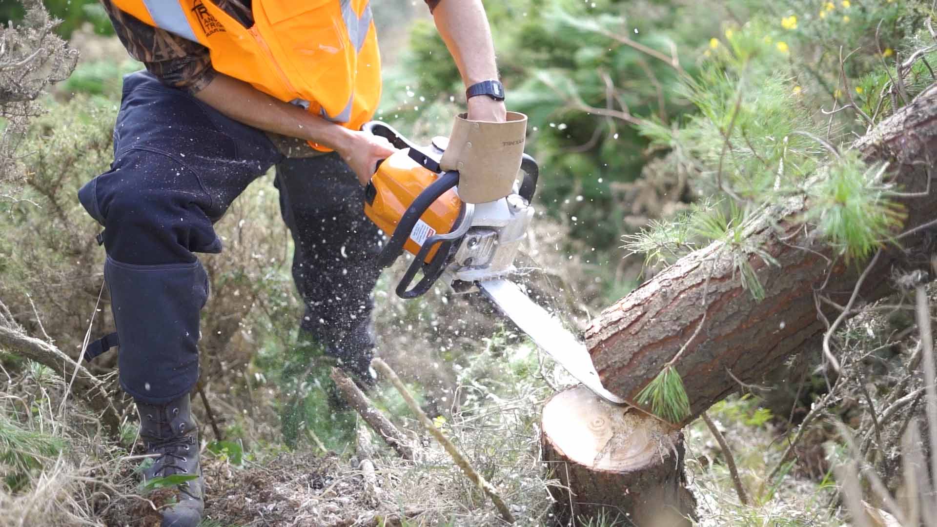 media-releases-about-jobs-for-nature-projects-jobs-for-nature