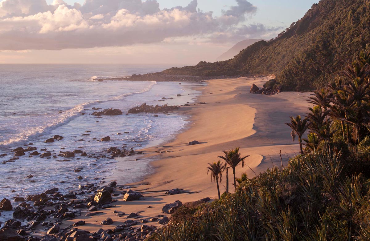 What Plants Are In The Marine West Coast