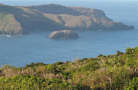 Sandymount Track: Otago Peninsula Area, Otago Region