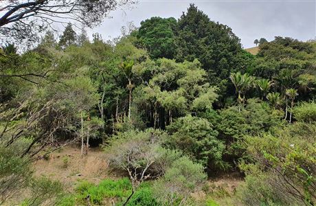 Hōteo River restoration: Ngā Awa river restoration