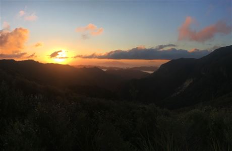 Kaiaraara Track to Mt Hobson (Hirakimata): Great Barrier Island ...