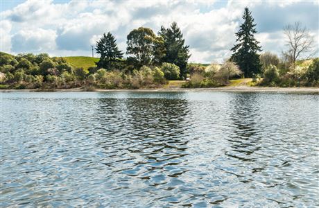 Rerewhakaaitu Brett Road conservation campsite: Lake Rerewhakaaitu ...