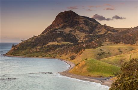 Fletcher Bay conservation campsite: Northern Coromandel, Coromandel region