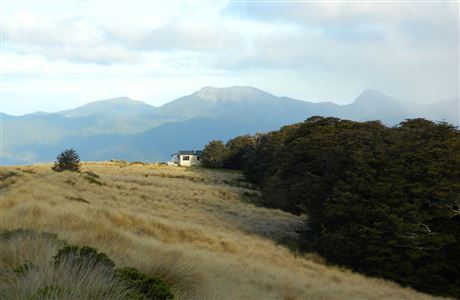 Sylvester Hut: Kahurangi National Park, Nelson/Tasman