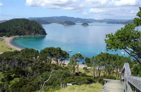 Motuarohia (Roberton) Island Track: Motuarohia/Roberton Island, Northland