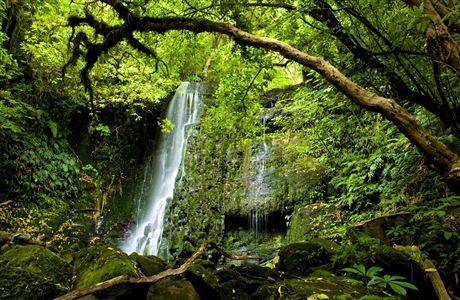 Matai Falls Walk: Catlins coastal area, Otago region