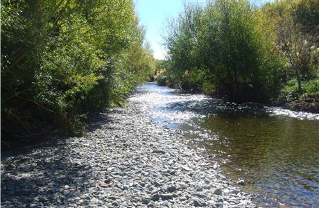 Features: Taupō Trout Fishery