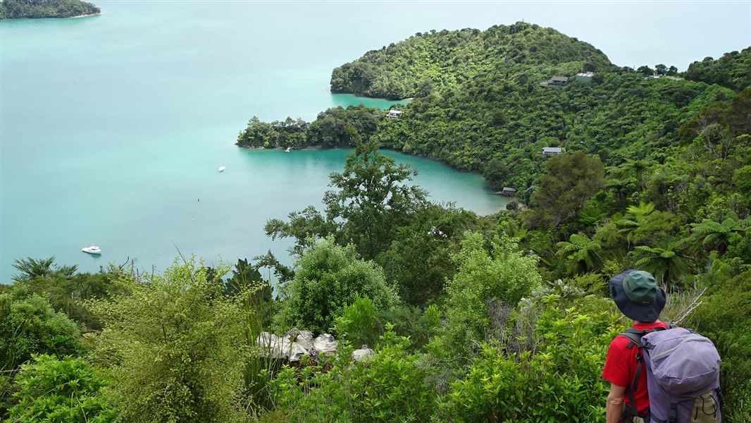 Queen Charlotte Track. 