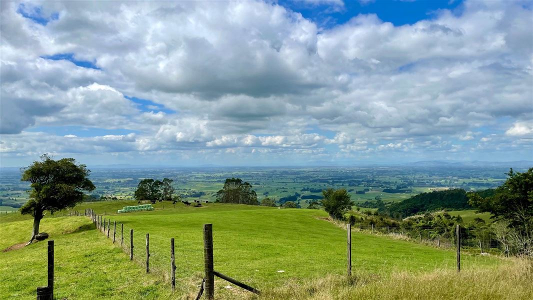 Landscape view out from the picnic area on the Corcoran Road Lookout.