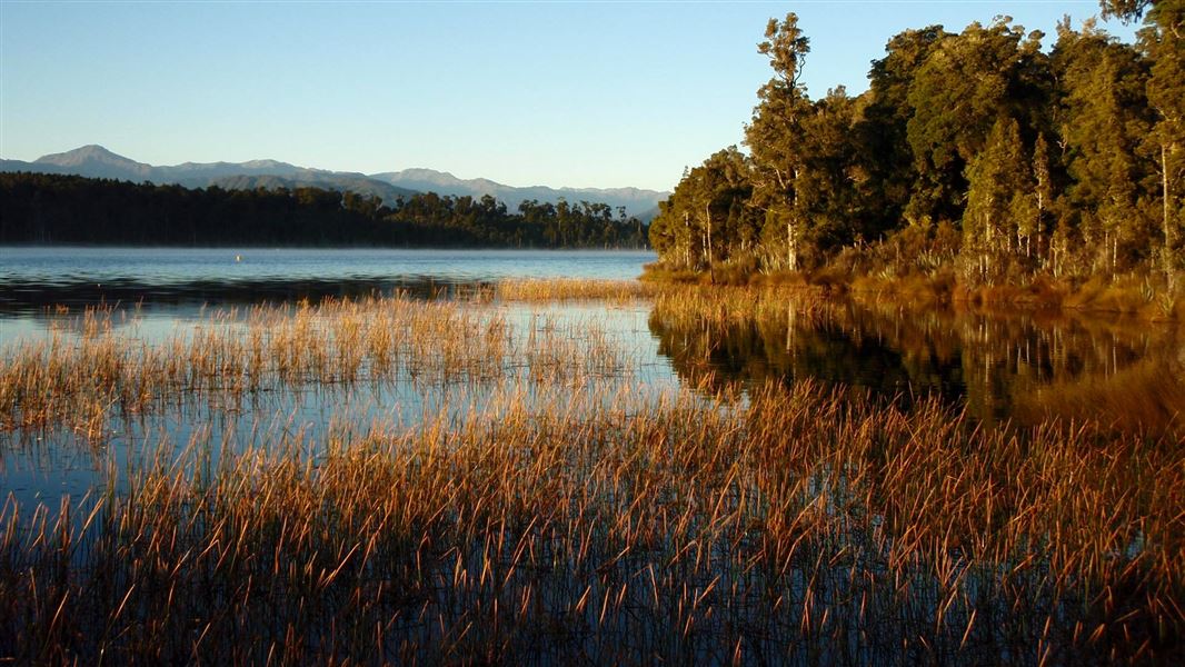 Lake Māhinapua