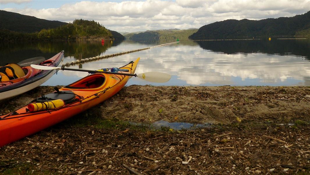 Kayaks on the shore at Lake Okataina. 