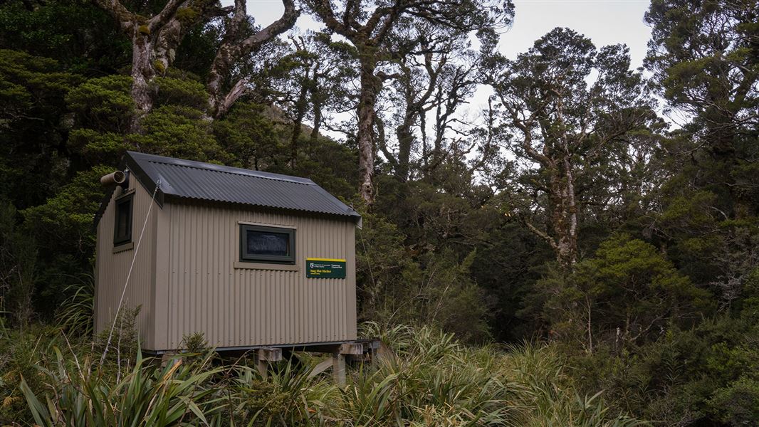 Small building surrounded by flax and trees.