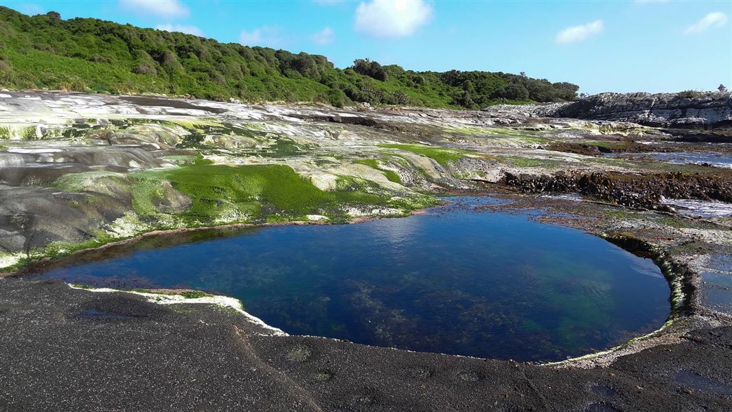 Is There Internet On Chatham Islands at bobbyssanderso blog