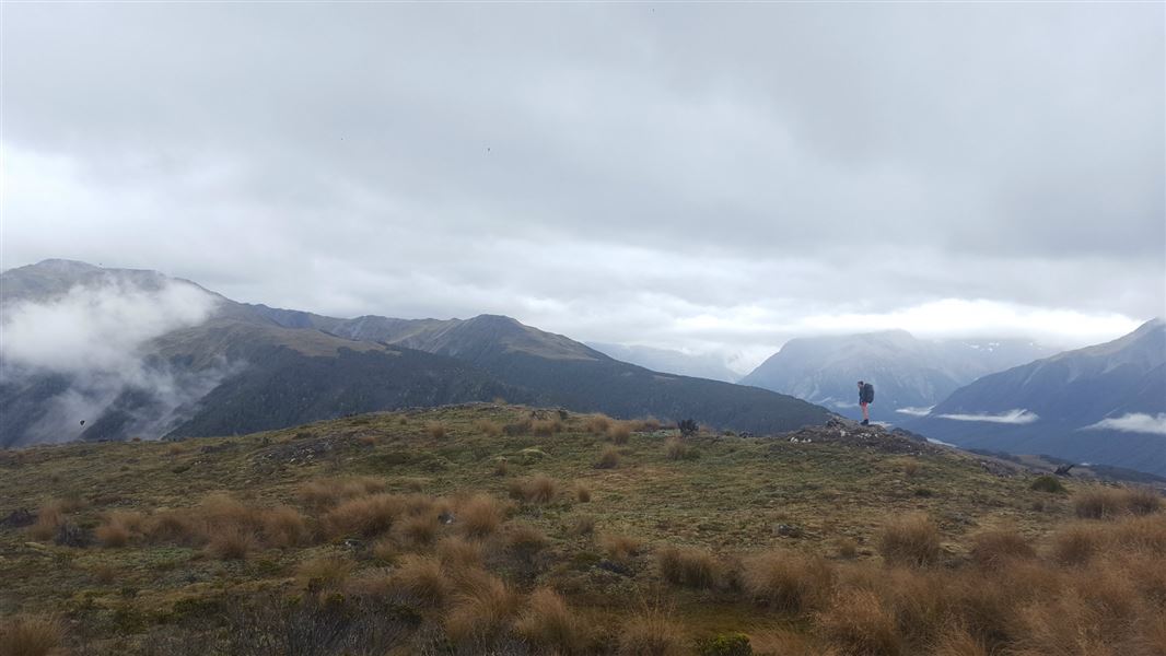 Cass-Lagoon Saddle Track.