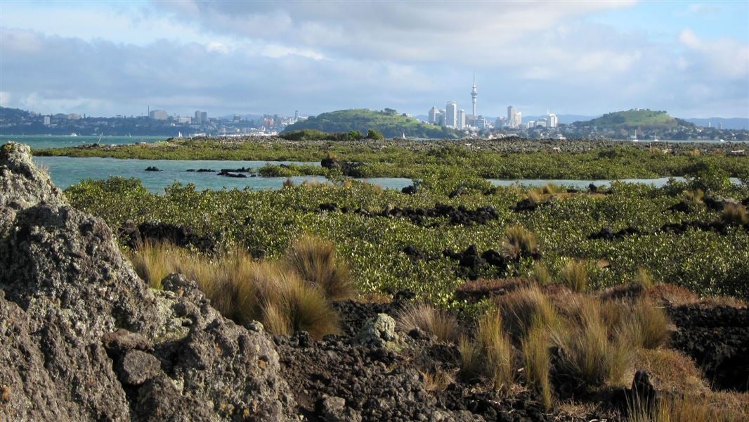 View of city. 