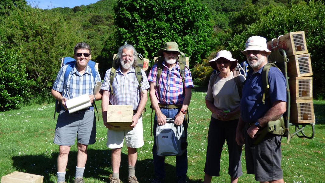 Group with trapping boxes. 