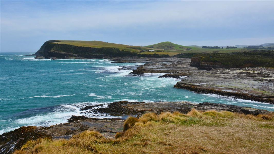 Curio Bay's rocky shoreline. 