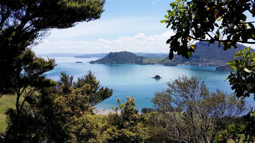  View from Te Whara Track towards Mt Manaia