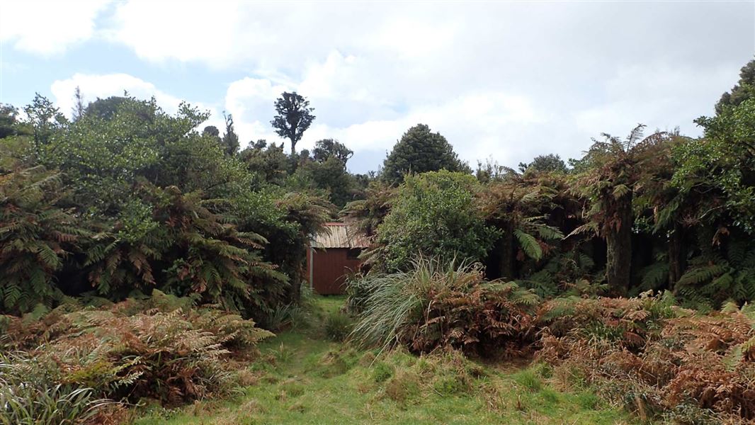 Mangamuka Hut. 