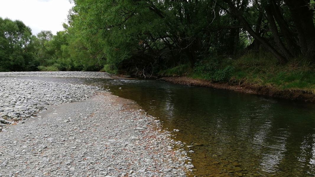 Twizel River Trail.