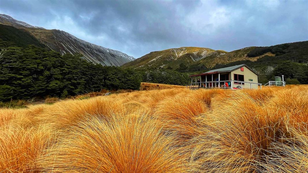 Speargrass Hut. 