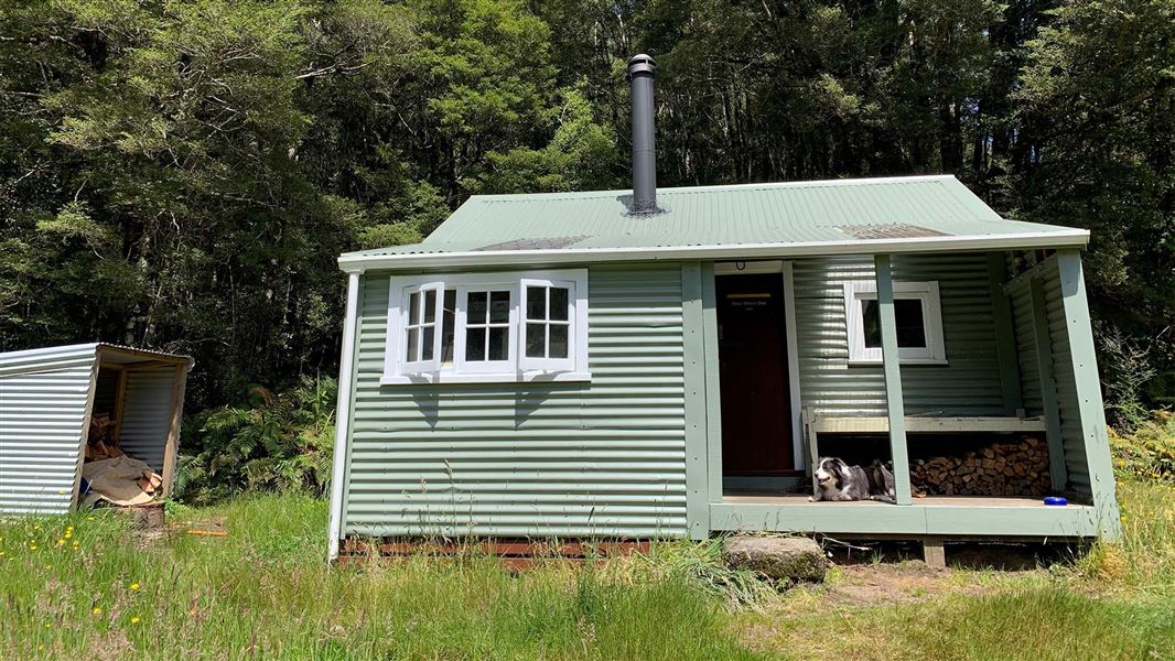 A small corrugated iron hut nestled amongst trees.