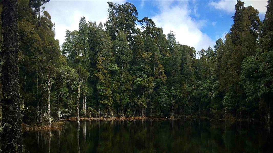 Waihora Lagoon. 