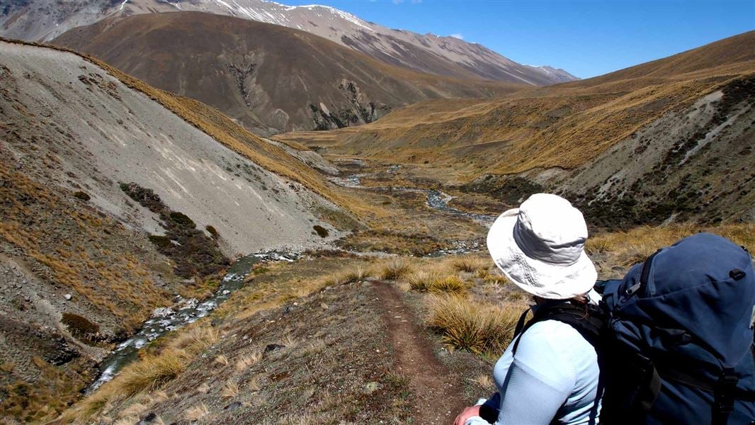 Camp Stream Hut Track Walking and tramping in Lake Te Kahui Kaupeka