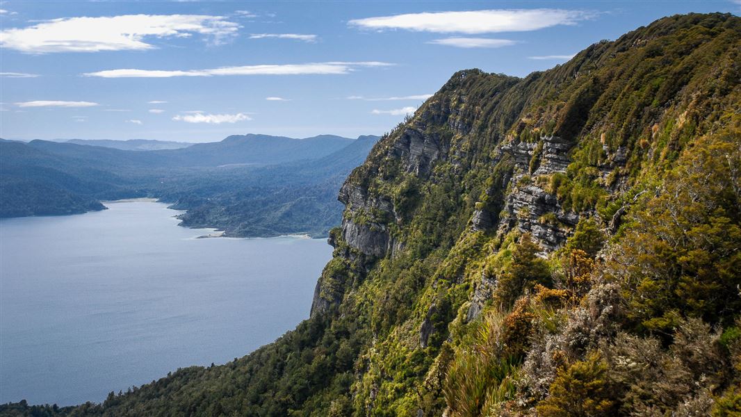 Panekire Bluff to the East. 