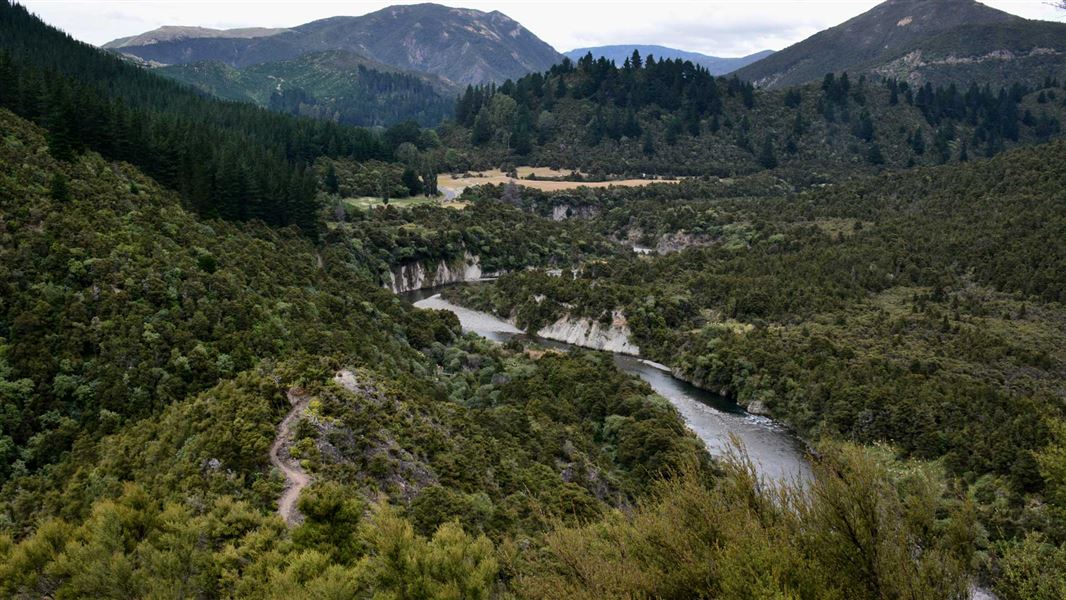 View from the track up Mt Kuripapango.