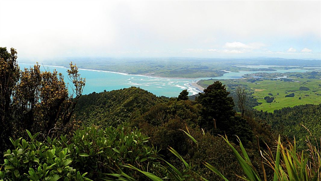 View from the lookout of Karioi. 