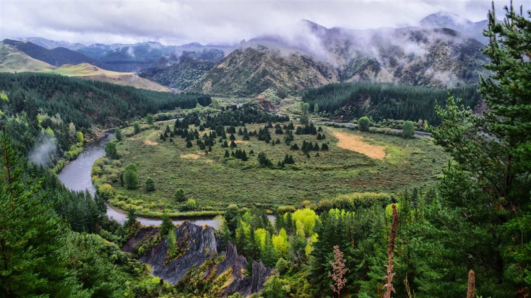 Mohaka river area.