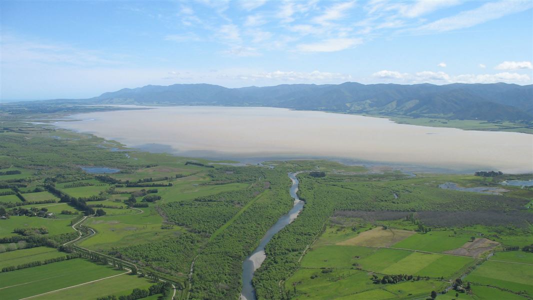 Wairarapa Moana with green fields in the foreground.