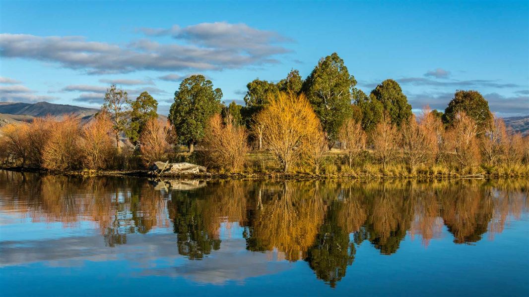 Lake Dunstan. 