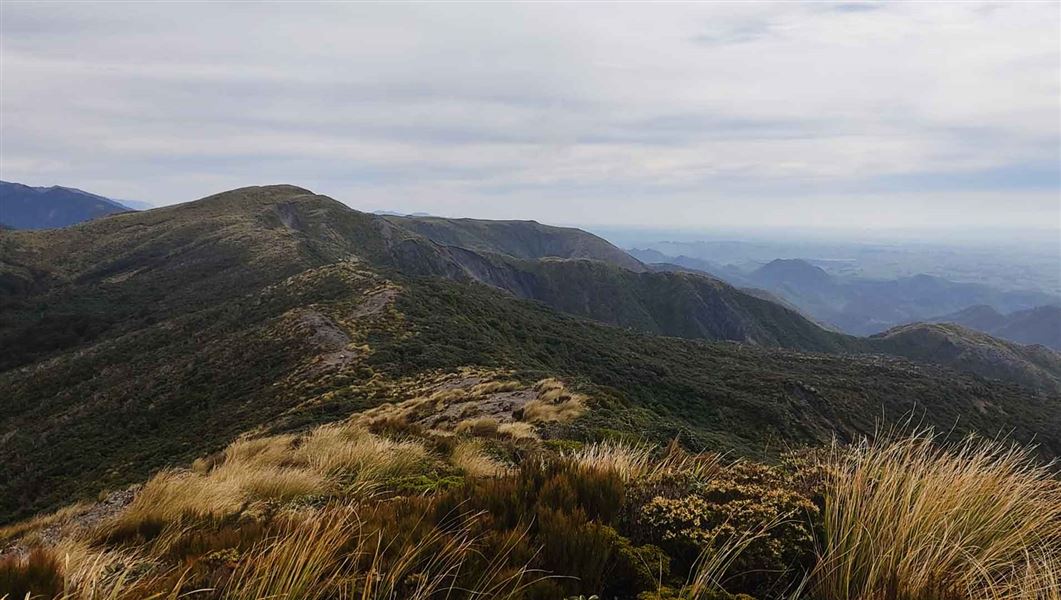 Longview to Makaretu Track ridgeline.