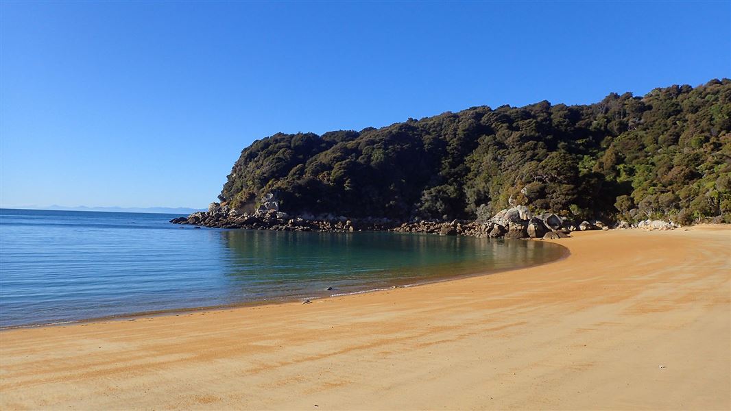 Sandy beach with bush nearby.