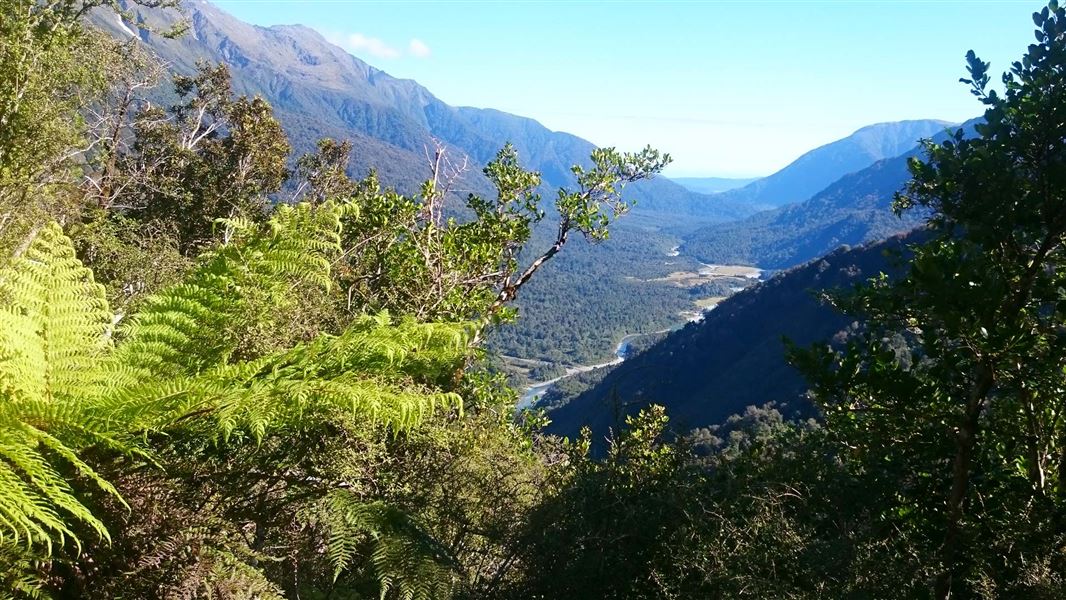 Descending to the Karangarua River. 