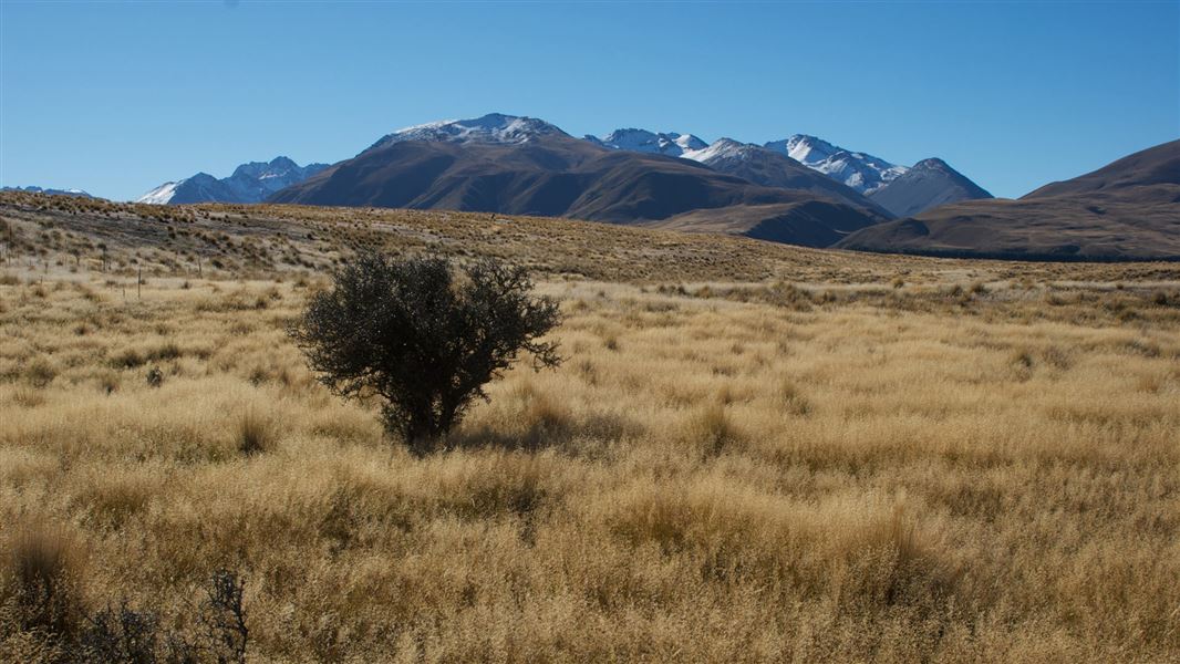 Godley Peaks, Mackenzie Country